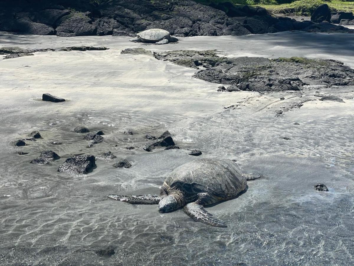 Apartmán Hale O Malu At Kaloli Point Keaau Exteriér fotografie